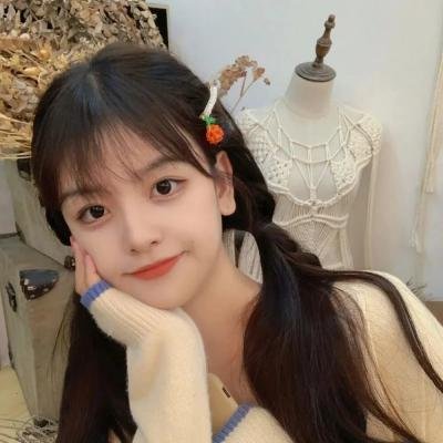 傲骨之战第六季